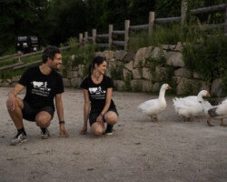 Foto: Timo Stammberger