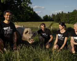 Foto: Timo Stammberger