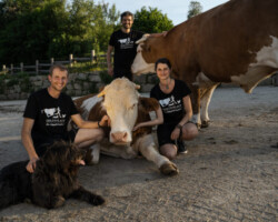 Foto: Timo Stammberger